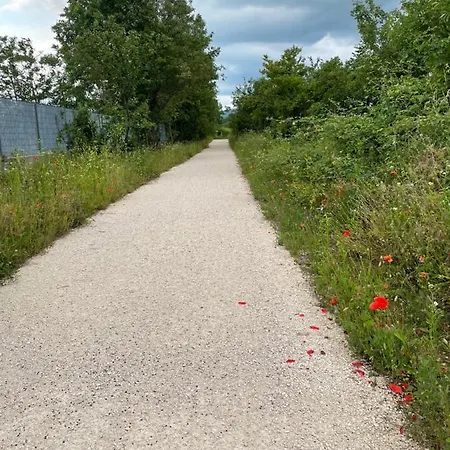 Hoara * Gorizia